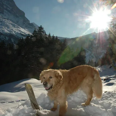 ホテル アルペンホフ 3*