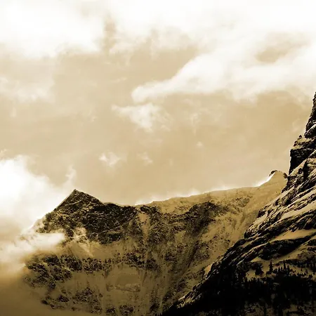 ホテル アルペンホフ グリンデルヴァルト