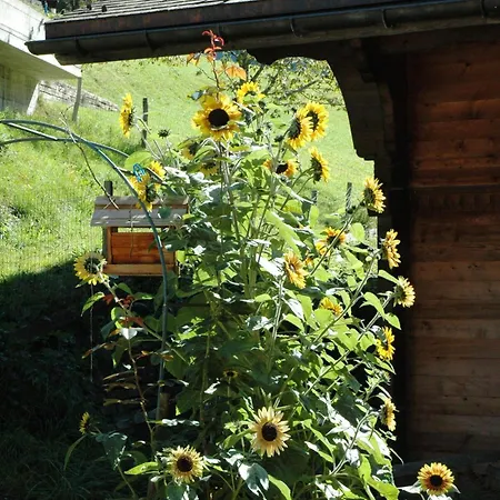 Alpenhof