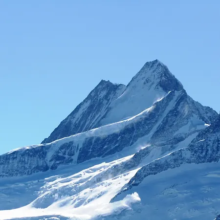 Hotel Alpenhof Grindelwald