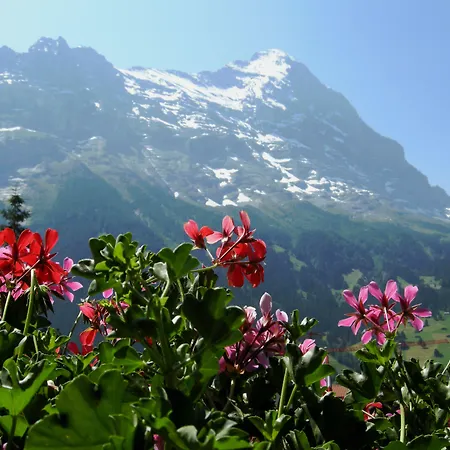 Alpenhof 3* Grindelwald