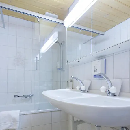 アルペンホフ ホテル 3*