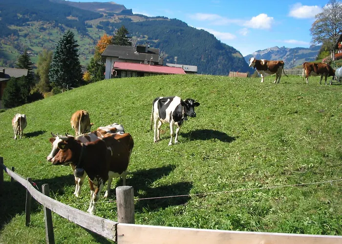 Hotell Alpenhof Grindelwald