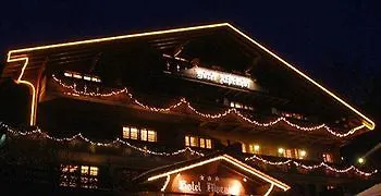 Alpenhof Hotell 3*