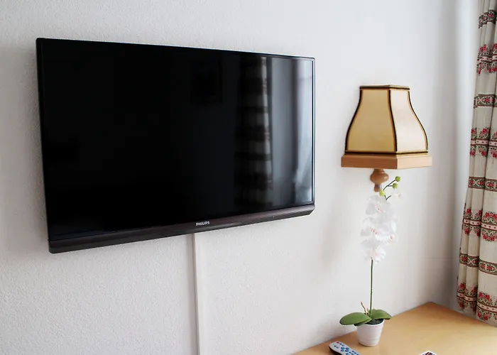 알펜호프 호텔 3*