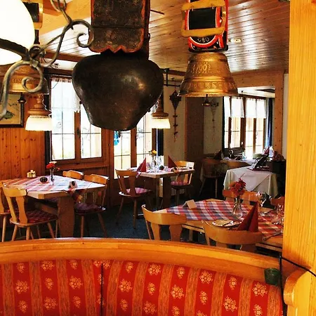 Alpenhof 3* גרינדלוולד