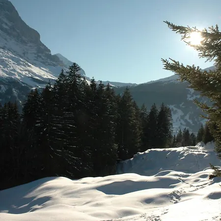 Hotel Alpenhof Grindelwald