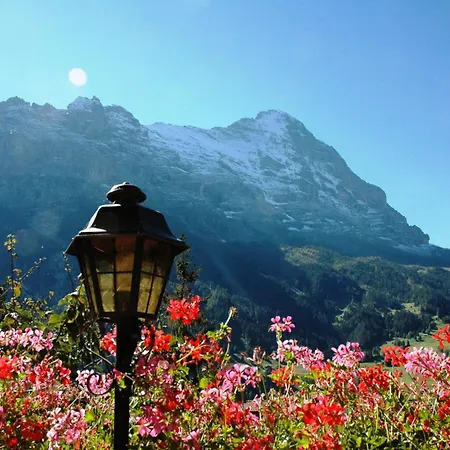 מלון Alpenhof גרינדלוולד