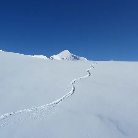 Alpenhof מלון גרינדלוולד