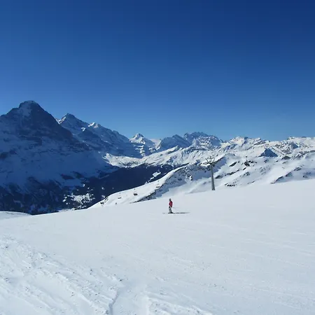 Alpenhof 3* גרינדלוולד