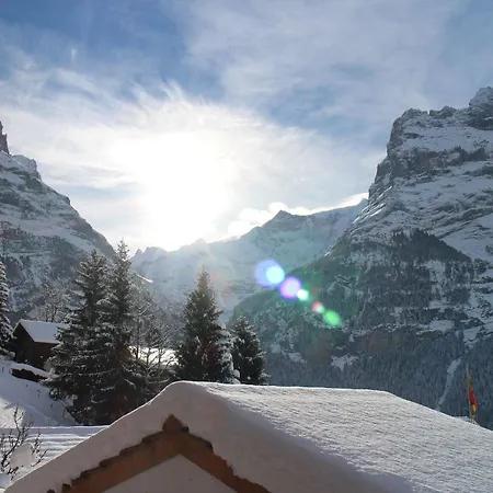 Alpenhof Hotel 3*
