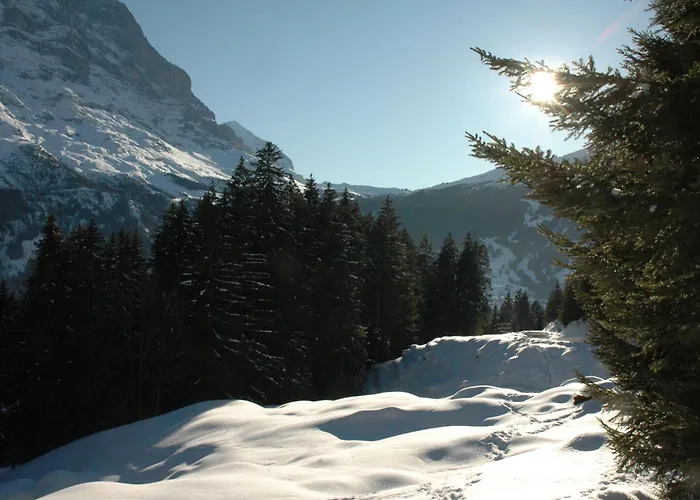 Otel Alpenhof Grindelwald
