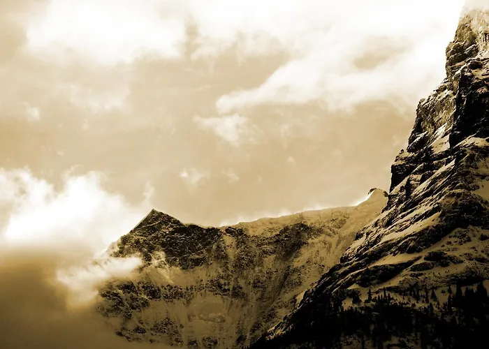 Otel Alpenhof Grindelwald