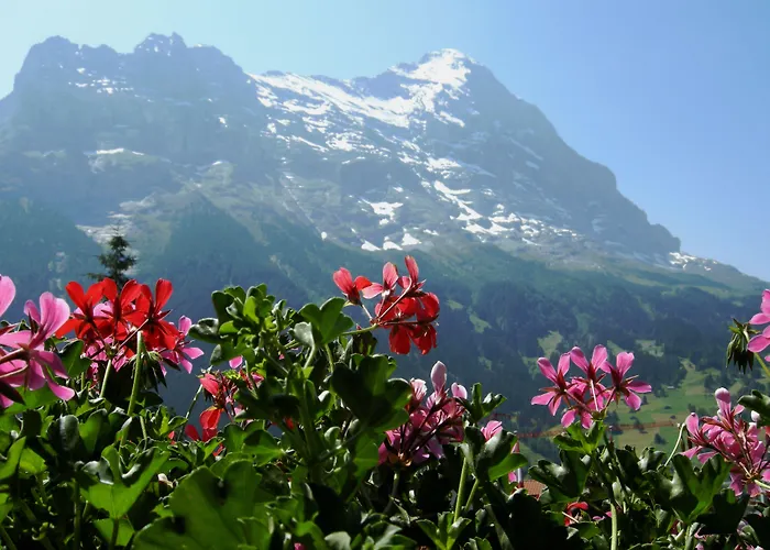Alpenhof 3* Grindelwald