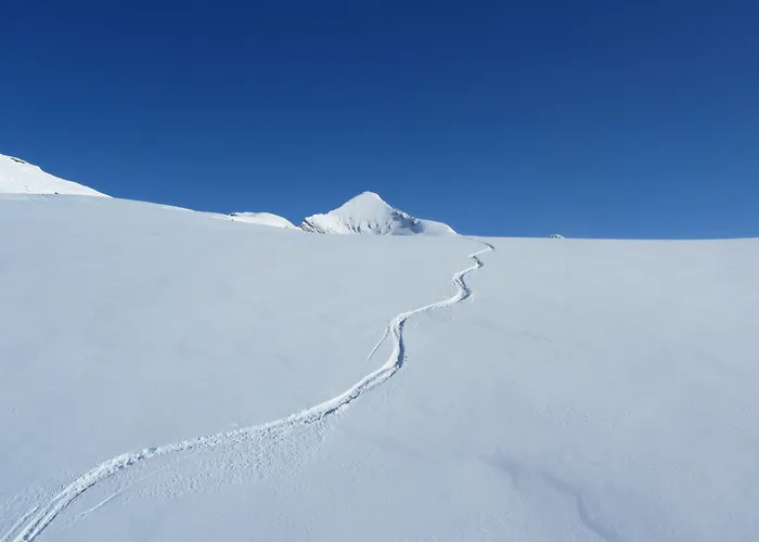Alpenhof Otel Grindelwald
